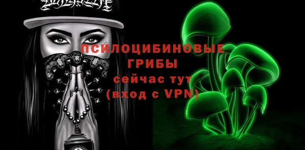 молекула духа Аркадак