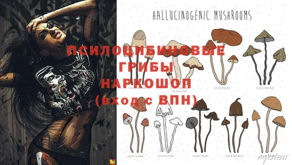бутик Арсеньев