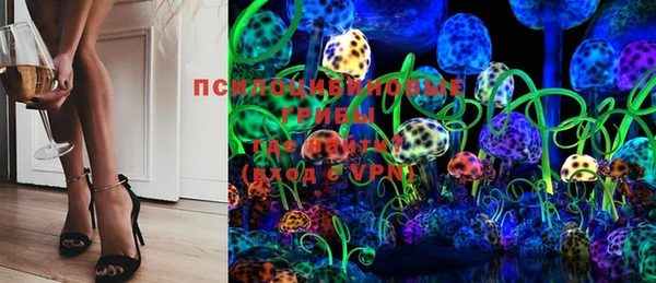 молекула духа Аркадак