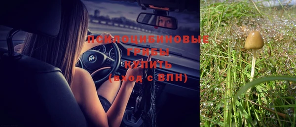 ALPHA-PVP Армянск