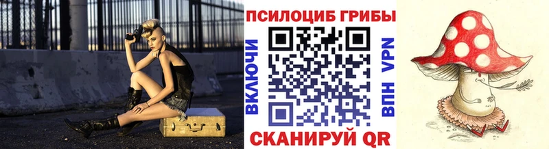 купить   Рошаль  площадка официальный сайт  Галлюциногенные грибы мицелий  МЕГА ССЫЛКА 